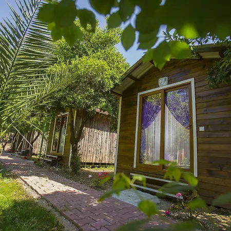 Likya Evleri Olympos-3