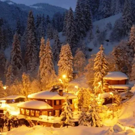 Ayder Avusor Hotel-3