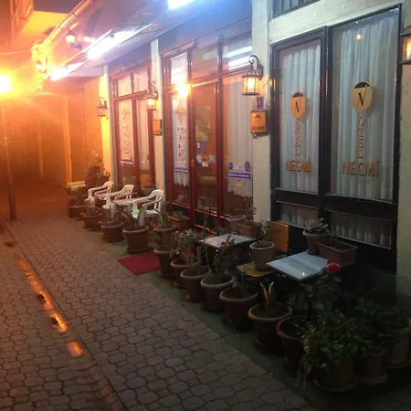 Hotel Necmi-2