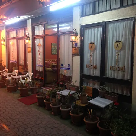 Hotel Necmi-3