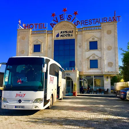 Avesis Hotel-2