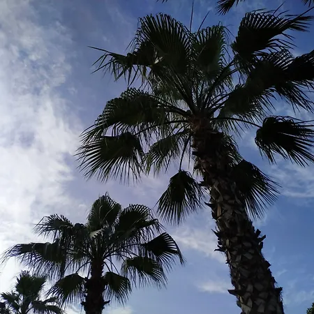 Olympos Yavuz Hotel-2