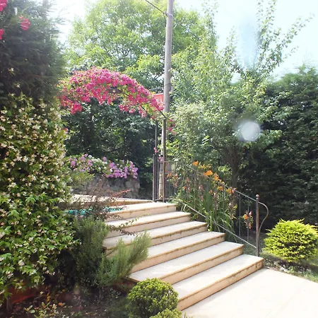 Sapanca Dilek Konagi Hotel-3
