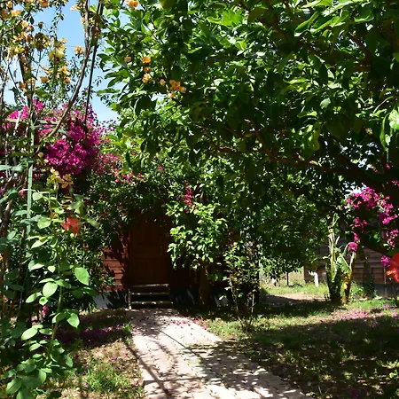 Lemon Garden Lodge-3