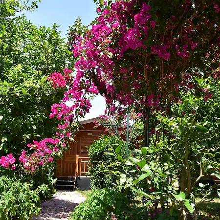 Lemon Garden Lodge-2