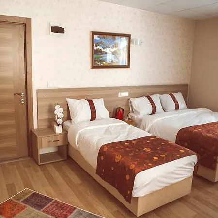 Gold Vizyon Hotel-2