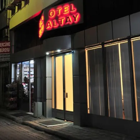 Hotel Altay-3