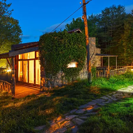 Hindiba Doga Evi-3