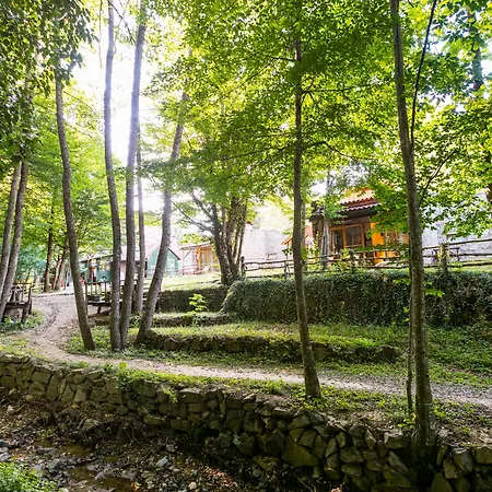 Hindiba Doga Evi-2