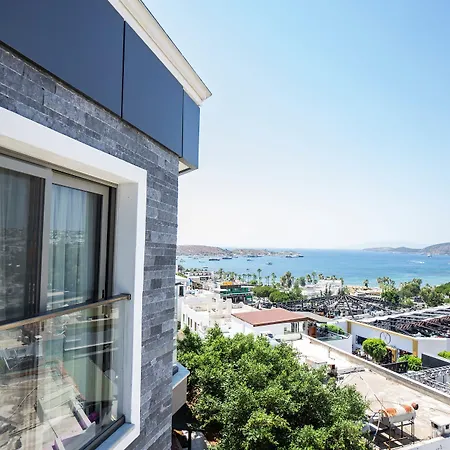 M2 Otel-2