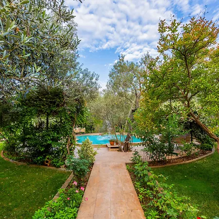 Gurel Garden House-2