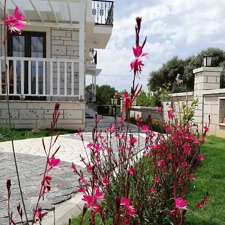 Ersin Konak-2