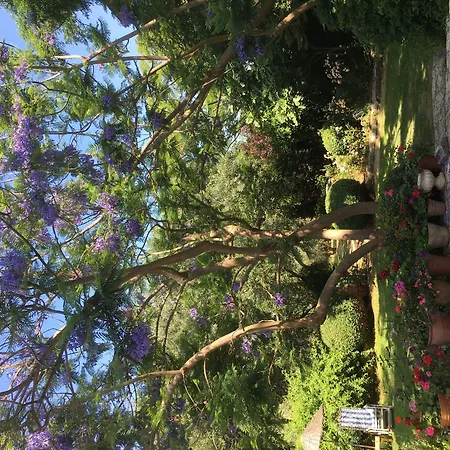 Emel Pension-3