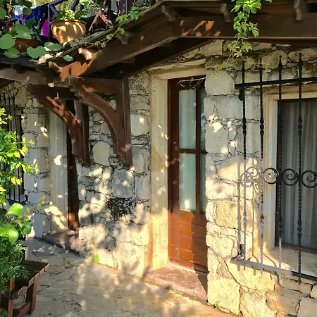 Ada Bacchus Hotel-3