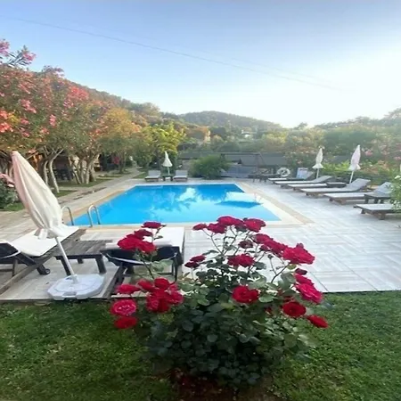 Montenegro Motel-2