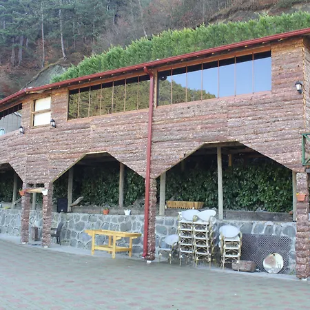 Sarot Termal Park Resort & Spa - Halal Hotel-2