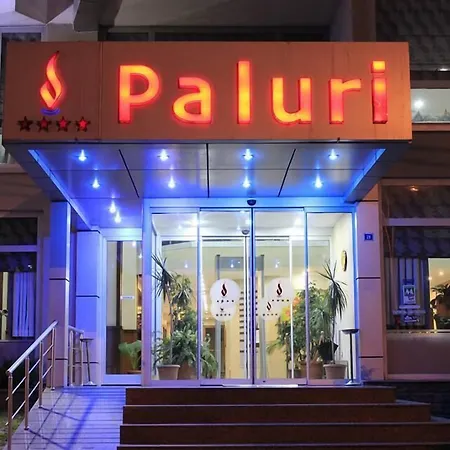 Paluri Hotel-2