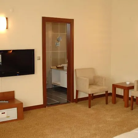 Paluri Hotel-3