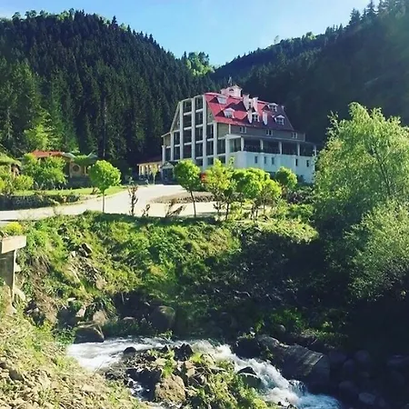 Hotel Green Valley Savsat-3