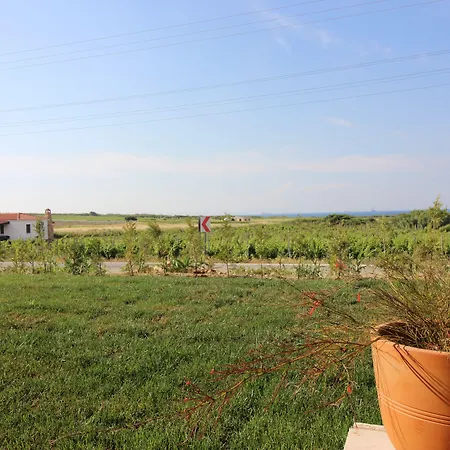 Bozcaada Defne Bağ Evi-2