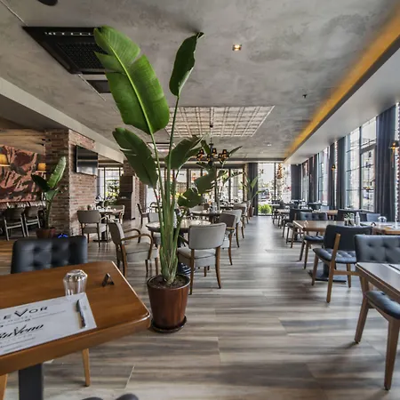 Levor Hotel-3