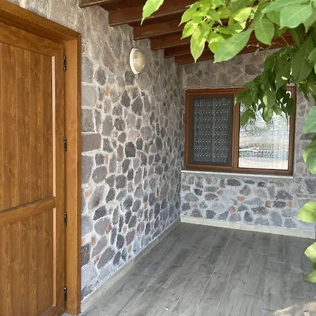 Assos Vi̇Lla Natura-3