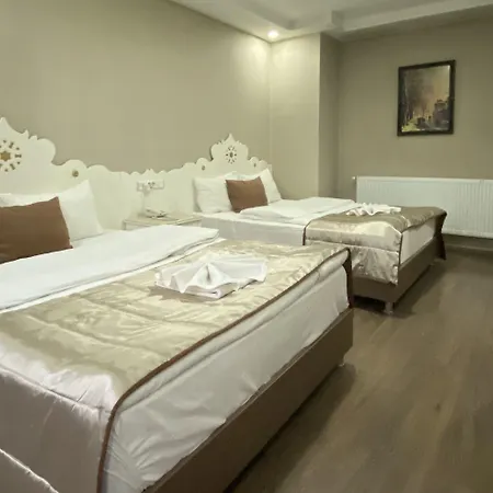 Hotel Kent Ani-2