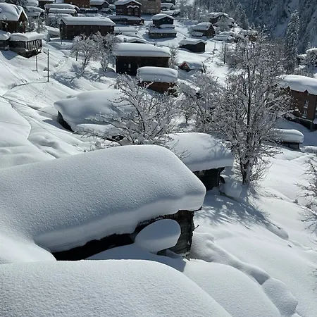 Ayder Villa De Pelit Hotel-2