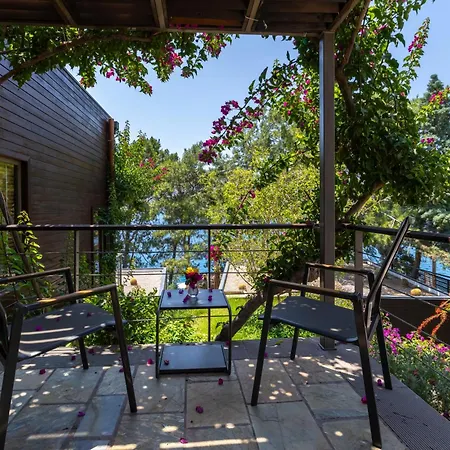 Miamai Butik Otel - Sadece Yetiskin-2