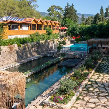 Eco Family Park Hotel-2