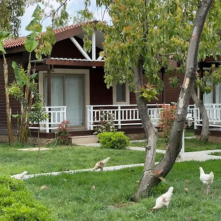 Apella Hotel-2