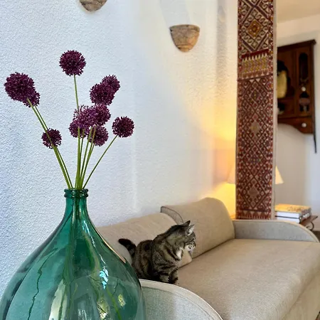 Hotel Villa Tokur-3