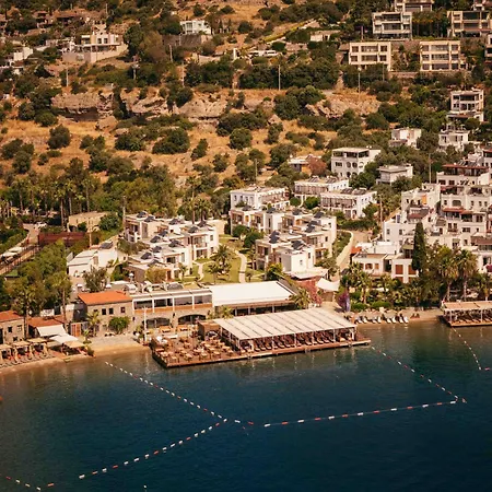 Mavi Suite Turkbuku-2
