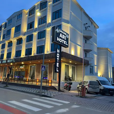 Afyon Grand Arı Hotel-2