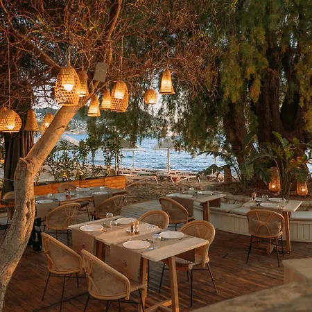 Yalıpark Beach Hotel-2