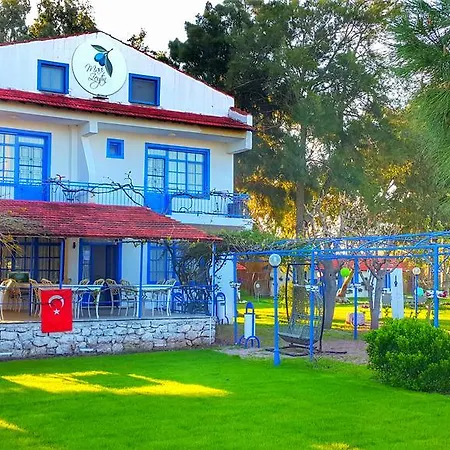 Mavi Zeytin Butik Otel-2