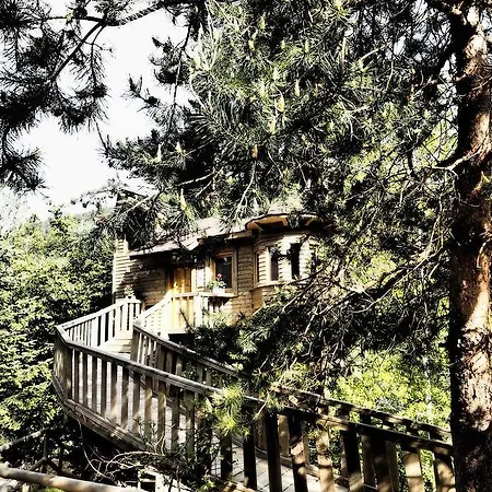 Abant Yesil Ev Masal Evleri Ve Butik Hotel-3