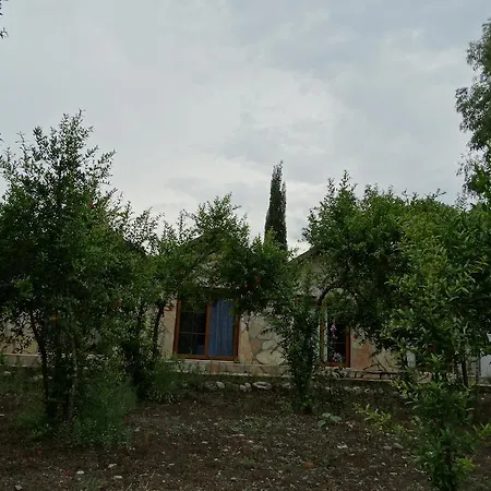 Nar Pansiyon-2