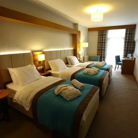 Arela Hotel-3