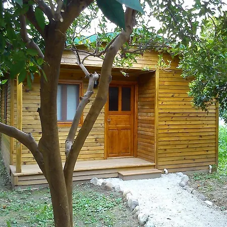 Yesil Bahce Bungalow - Ahsap Evler-2