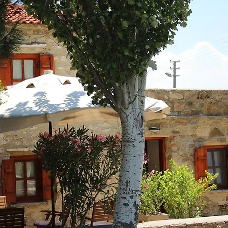 Eylem Dinlenti Evi-2