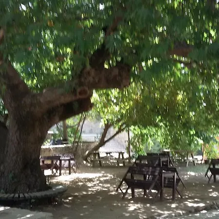 Birgi Cinaralti Pension-2