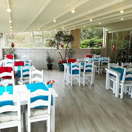 Yasemin Suite-2