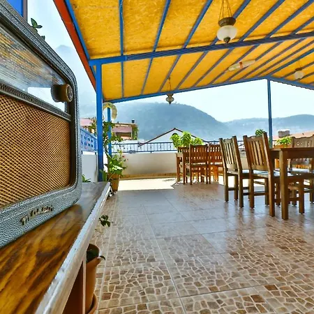 Hotel Puya-2
