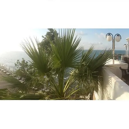 Diapolis Hotel-3