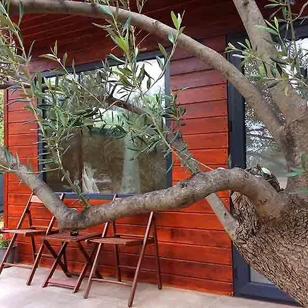 Assos Club Beyaz-2