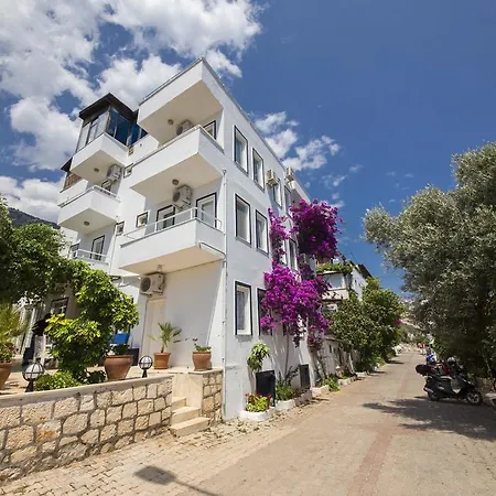 Selim Pension - Adult Only + 16-2