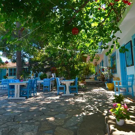 Jenny'S House Hotel-2