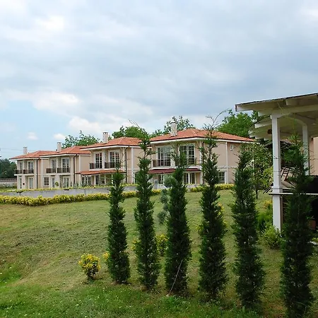 Comfort Sapanca Villa-2