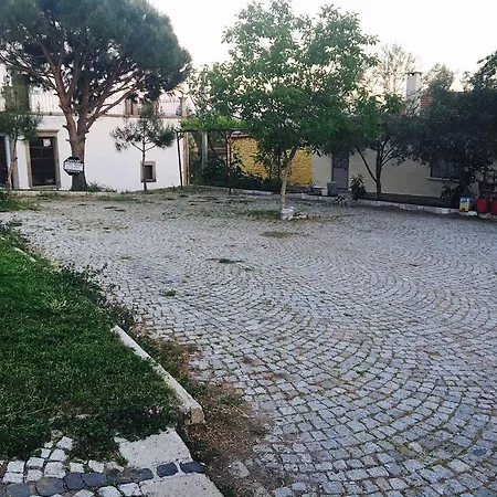 Sanart Guest House & Loca Garden-3